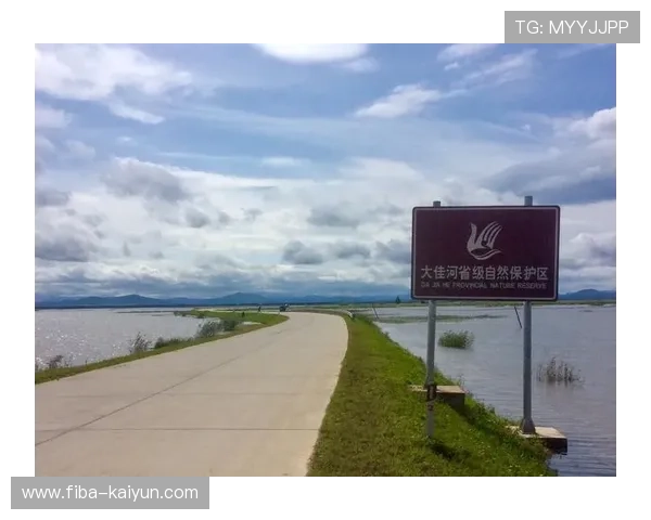 风雨中的挑战：球员调整策略应对31公里-小时阵风